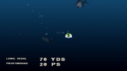 Saltwater Sportfishing 