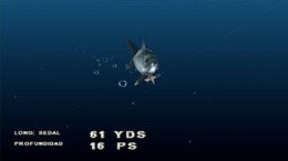   Saltwater Sportfishing