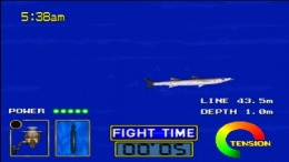 ������� Seabass Fishing