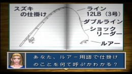 Seabass Fishing �����