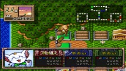 ������� Shin Fortune Quest - Shokutaku no Kishi-tachi