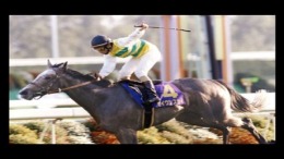 �������� Shuukan Gallop - Blood Master