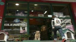 Simple 1500 Jitsuyou Series Vol.15 - Inu no Kaikata - Sekai no Inu Catalog��� PS1