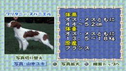 ����������� ���� Simple 1500 Jitsuyou Series Vol.15 - Inu no Kaikata - Sekai no Inu Catalog