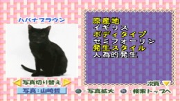 Simple 1500 Jitsuyou Series Vol.16 - Neko no Kaikata - Sekai no Neko Catalog ��� PlayStation 1