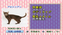 �������� ���� Simple 1500 Jitsuyou Series Vol.16 - Neko no Kaikata - Sekai no Neko Catalog