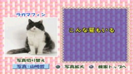 Simple 1500 Jitsuyou Series Vol.16 - Neko no Kaikata - Sekai no Neko Catalog �����