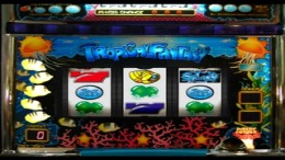 ����������� ���� Slotter Mania 9