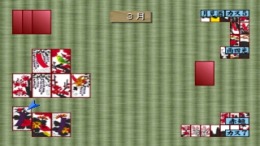 ������� ��� Super Price Series - Hanafuda