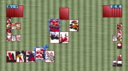 �������� ���� Super Price Series - Hanafuda