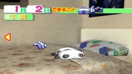 Taregoro Tarepanda no Iru Nichijou ��� PlayStation 1