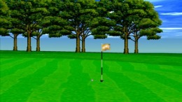 ����������� ���� The Perfect Golf