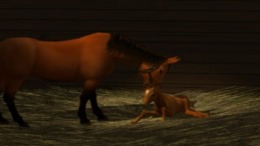 �������� Thoroughbred Breeder - Sekai Seiha Hen