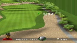  Tiger Woods 99 - PGA Tour Golf