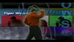  Tiger Woods PGA Tour Golf