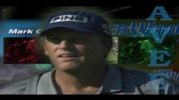  Tiger Woods USA Tour 2001