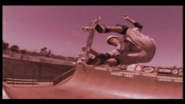  Tony Hawk's Skateboarding