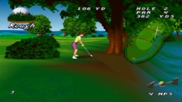 ������� Tournament Leader