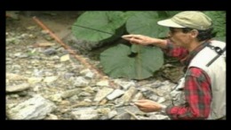 Tsuridou - Keiryuu Mizuumihen �����