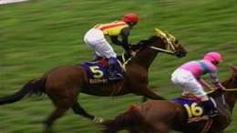 �������� ���� Turf Wind '96 - Take Yutaka Kyousouba Ikusei Game