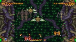 ����������� ���� Two Tenkaku