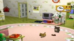 ����������� ���� Uchi ni Pochi ga Yattekita - In my pocket