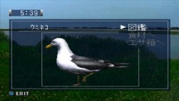 ������� Uki Uki Tsuri Tengoku - Kawa Monogatari