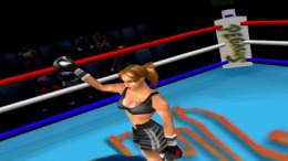 ����������� ���� Victory Boxing Challenger