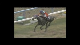 ����������� ���� Virtual Gallop-Kishudou