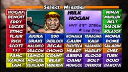 ������� Virtual Pro Wrestling