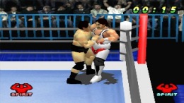 Virtual Pro Wrestling �����