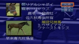 Winning Post EX �����