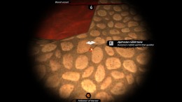 �������� She is mad