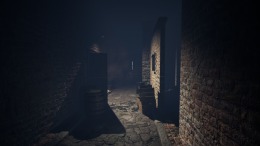 �������� ���� Swallow