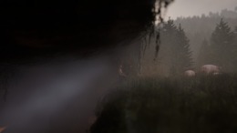 ����������� ���� Vaulting Over It