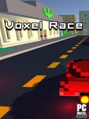 Voxel Race