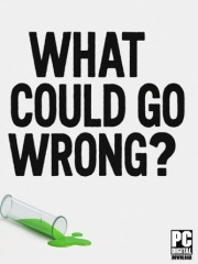What Could Go Wrong?