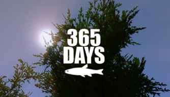 365 Days ������� ���������