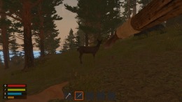 ����������� ���� 365 Days