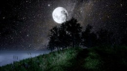 ����������� ���� All That Remains: A story about a child's future