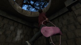 Ancient Guardian �� PC