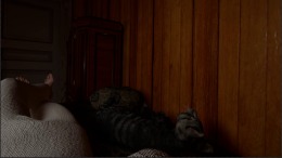 �������� ���� Bed Lying Simulator 2020