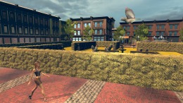 ������� Bird Simulator