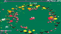 ����������� ���� Buns: Bunny Survivor