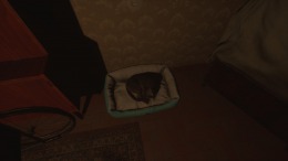 �������� CALLUS