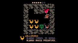 CorgiSpace �����