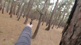 CRYPTEX �����