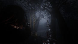 Cult of Dawn �� PC