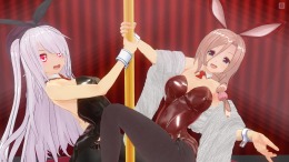 CUSTOM ORDER MAID 3D2 It's a Night Magic �����