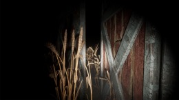 ������� ��� Dead Feed